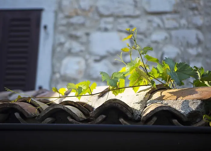 Boutique Hotel Paradiso